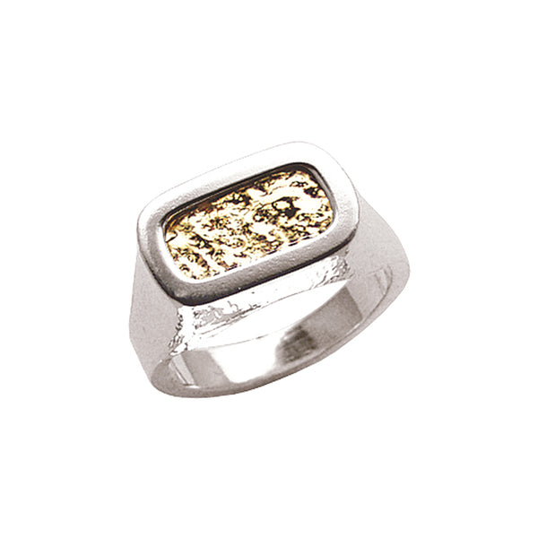 Ring in silver with 14K gold