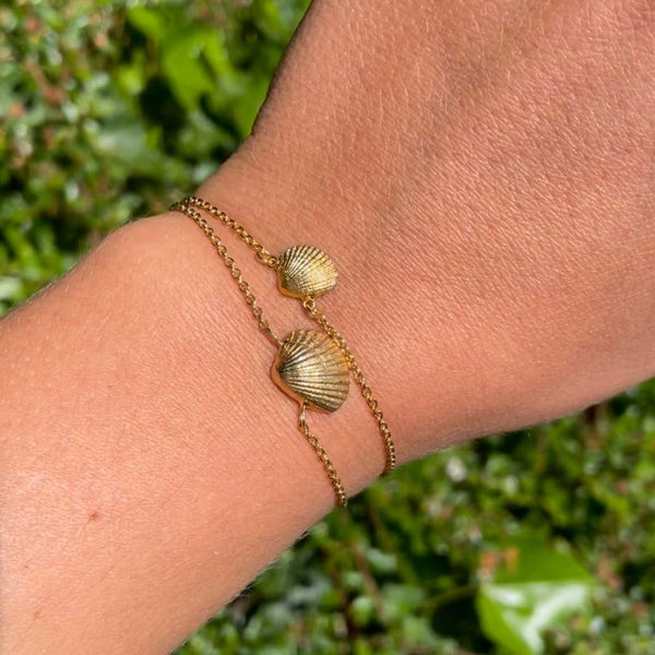Shell bracelet