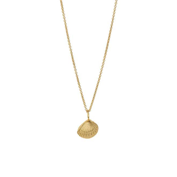 Shell pendant