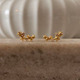 Stars earrings