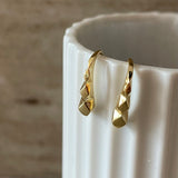 Facet earhooks
