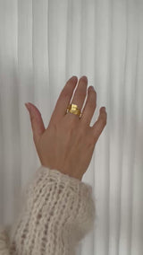 Fjer ring mellem