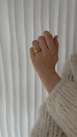 MILLE Ring No. 6