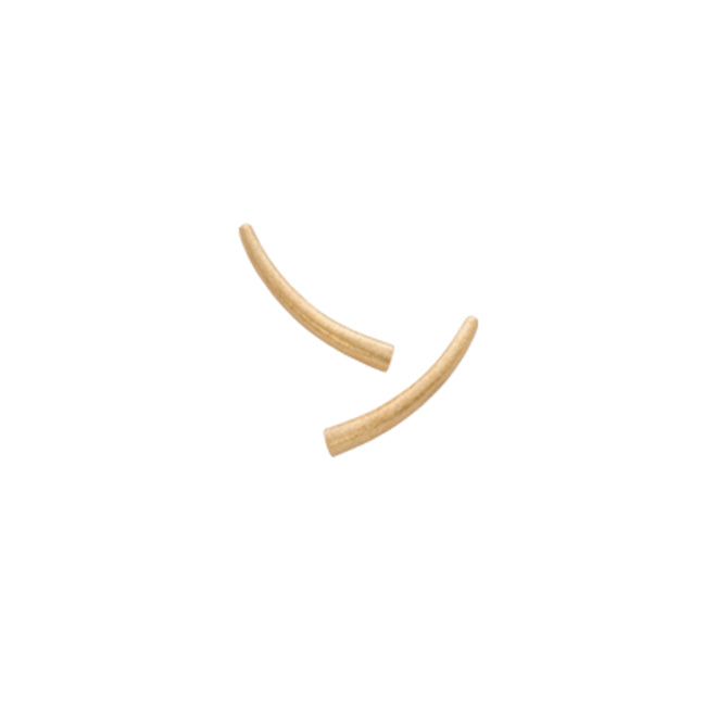 Horn earring